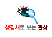 �����ǿ